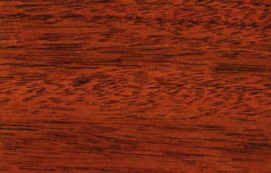 African Mahogany